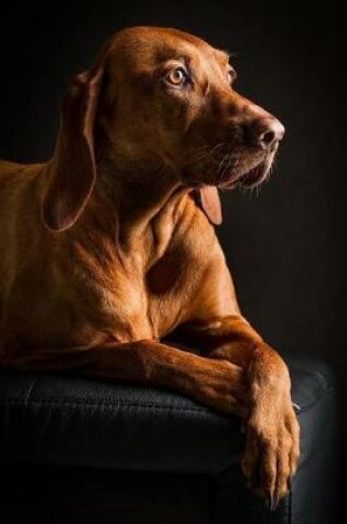 Cover of Elegant Vizsla Dog Journal