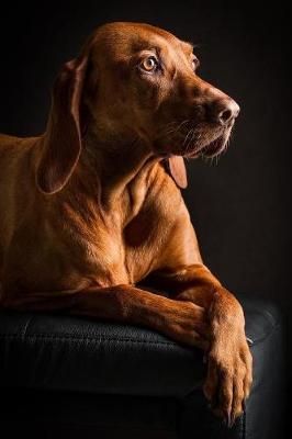 Book cover for Elegant Vizsla Dog Journal