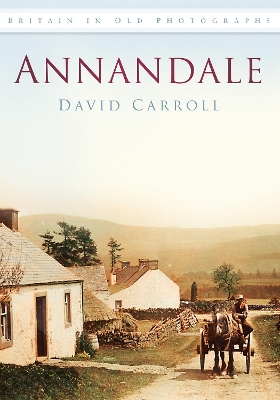 Book cover for Annandale