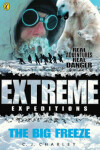 Book cover for The Big Freeze