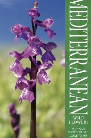 Cover of Mediterranean Wildflowers