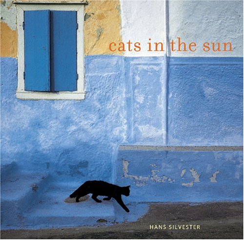 Book cover for Cats in the Sun