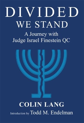 Book cover for Divided We Stand