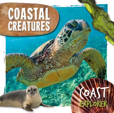 Book cover for Coastal Creatures