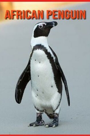 Cover of African Penguin
