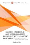 Book cover for Elliptic, Hyperbolic And Mixed Complex Equations With Parabolic Degeneracy: Including Tricomi-bers And Tricomi-frankl-rassias Problems