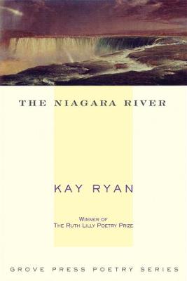 Book cover for The Niagara River