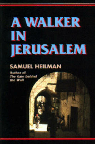 Cover of A Walker in Jerusalem