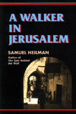 Book cover for A Walker in Jerusalem