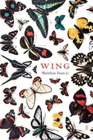 Cover of Wing