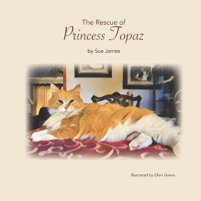 Book cover for The Rescue of Princess Topaz