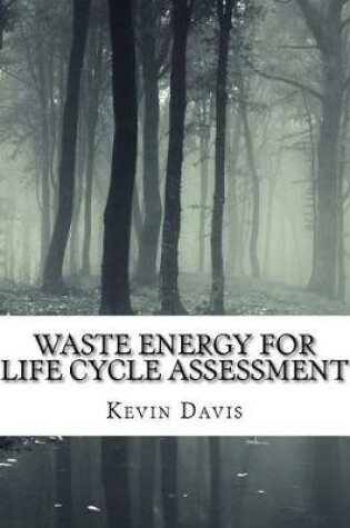 Cover of Waste Energy for Life Cycle Assessment