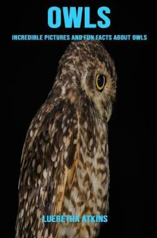 Cover of Owls