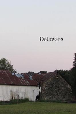 Book cover for Delaware