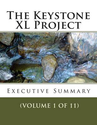 Book cover for The Keystone XL Project