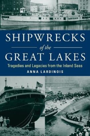 Cover of Shipwrecks of the Great Lakes