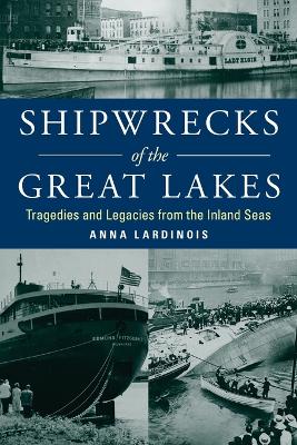 Book cover for Shipwrecks of the Great Lakes