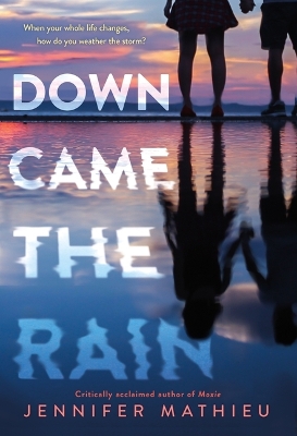 Book cover for Down Came the Rain