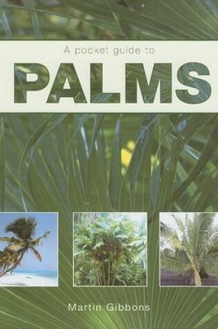 Cover of A Pocket Guide to Palms