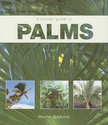 Book cover for A Pocket Guide to Palms