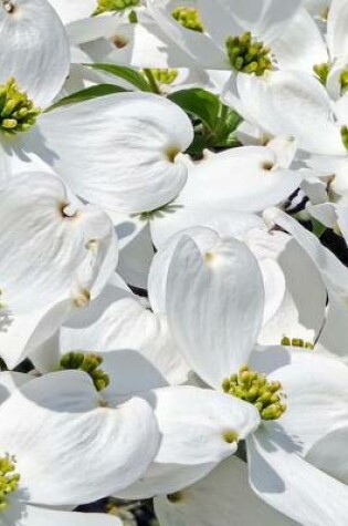 Cover of Cornales Blooming White, for the Love of Flowers