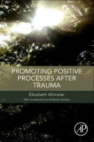 Cover of Promoting Positive Processes after Trauma