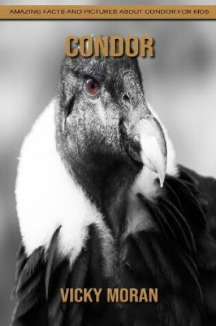 Cover of Condor