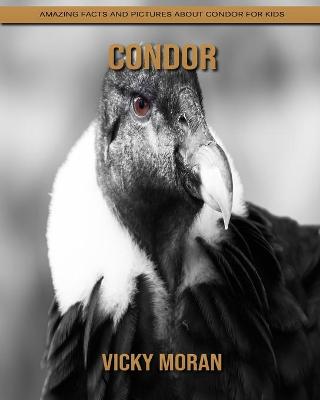 Book cover for Condor