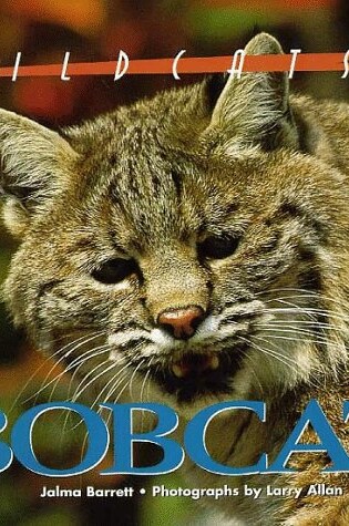 Cover of Bobcat