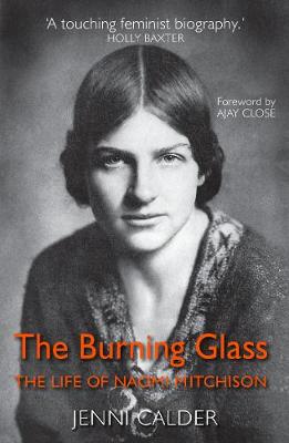 Book cover for The Burning Glass