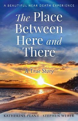 Cover of The Place Between Here and There