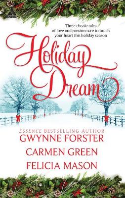 Book cover for Holiday Dream