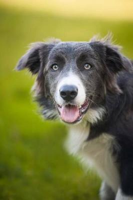 Book cover for The Border Collie Dog Journal