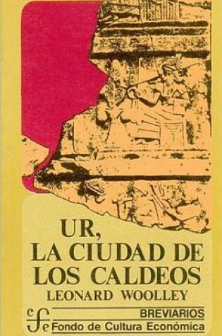 Cover of Introduccion a la Filosofia