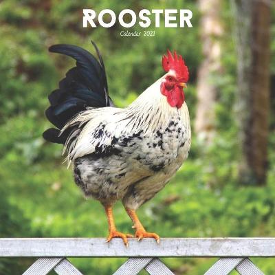 Book cover for Rooster Calendar 2021