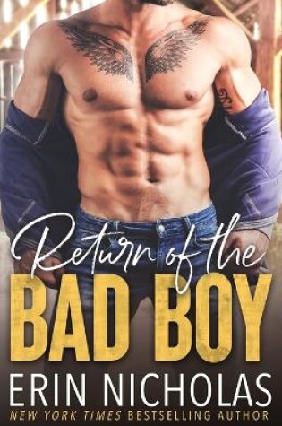 Cover of Return of the Bad Boy