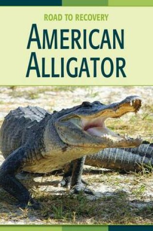 Cover of American Alligator