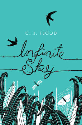 Book cover for Infinite Sky