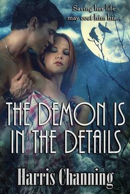 Book cover for The Demon is in the Details