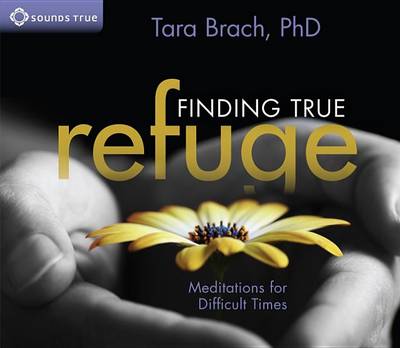 Book cover for Finding True Refuge
