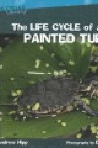 Cover of Life Cycle of a Painted Turtle