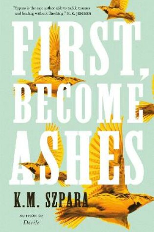 Cover of First, Become Ashes