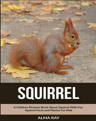 Book cover for Squirrel