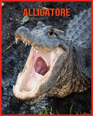 Book cover for Alligatore