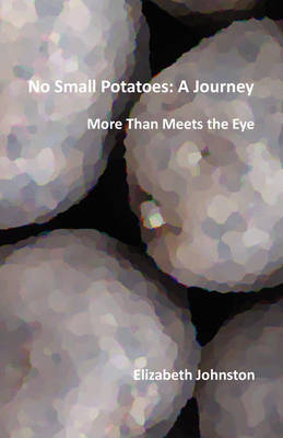 Book cover for No Small Potatoes