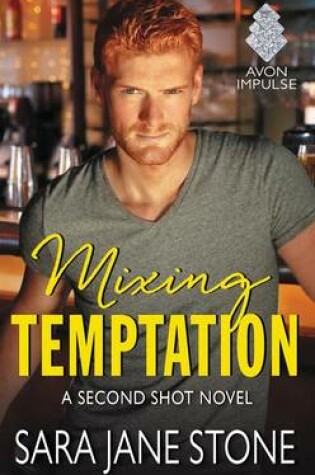 Cover of Mixing Temptation