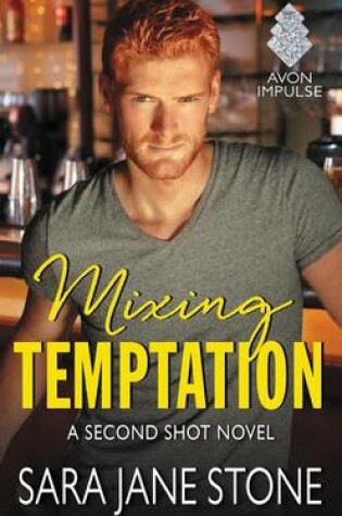 Cover of Mixing Temptation