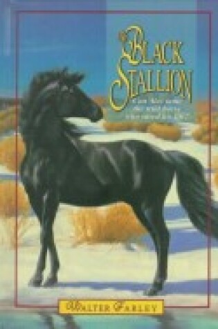 Cover of Black Stallion-Gift Ed