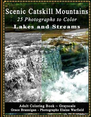 Book cover for Scenic Catskill Mountains