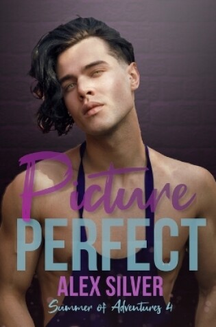 Cover of Picture Perfect